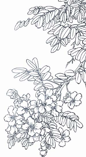 天使吻过你的歌喉(一)