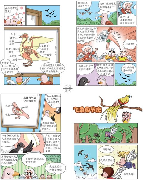 第六章 飞鸟国庆节