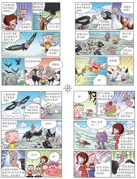 第十四章 安第斯的抉择