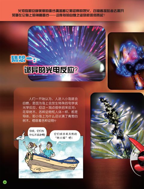 令人却步的火炬岛