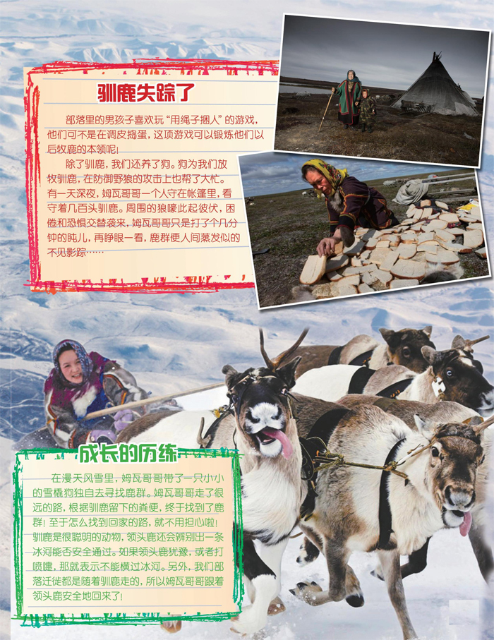 驯鹿背上的涅涅茨人