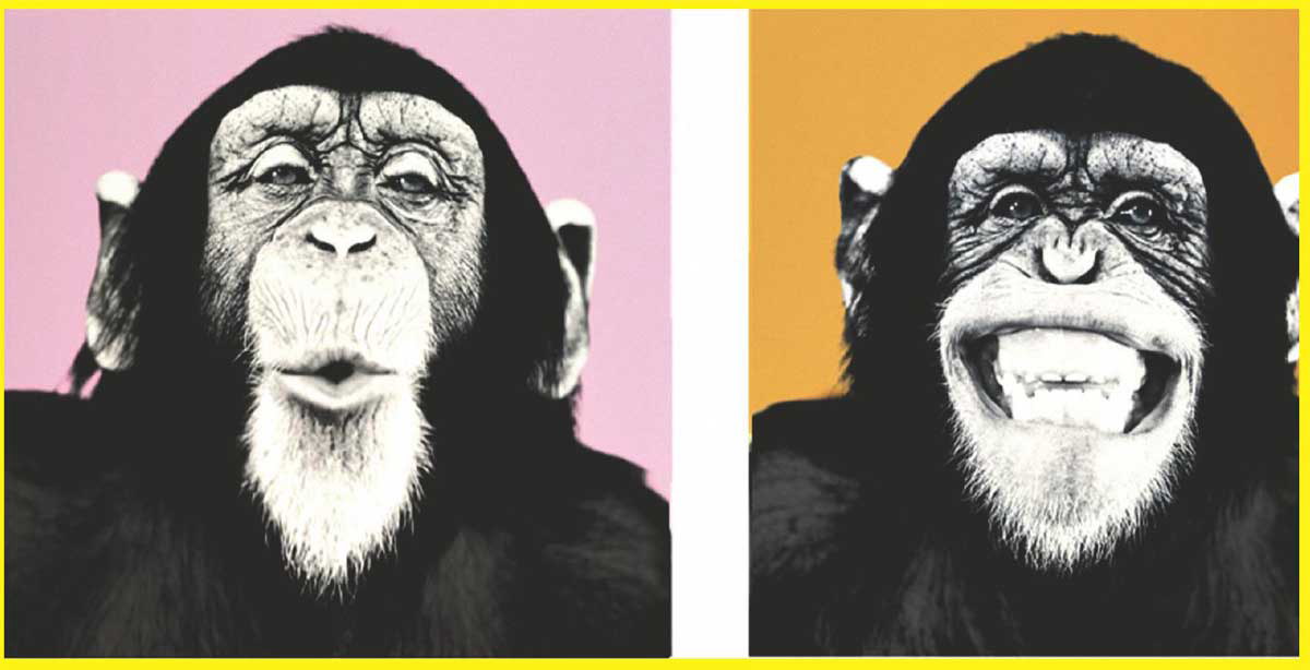 好心态是成功的一半