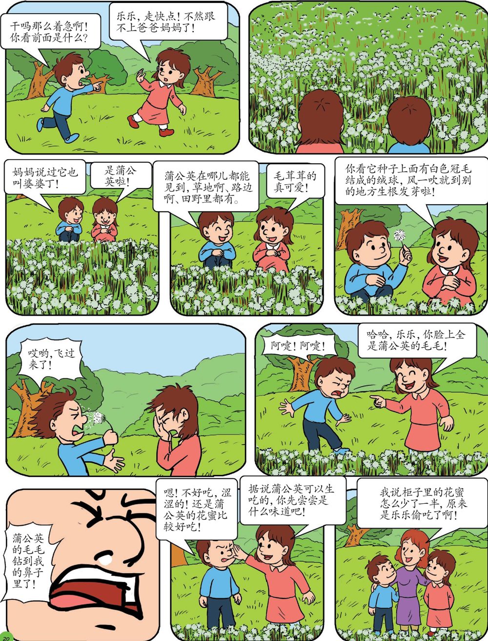 小小蒲公英
