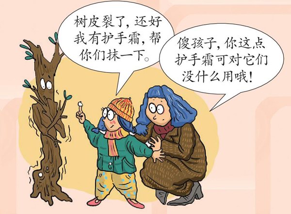 冬天树木为什么穿白衣？