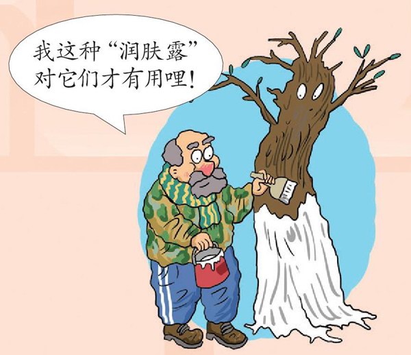 冬天树木为什么穿白衣？