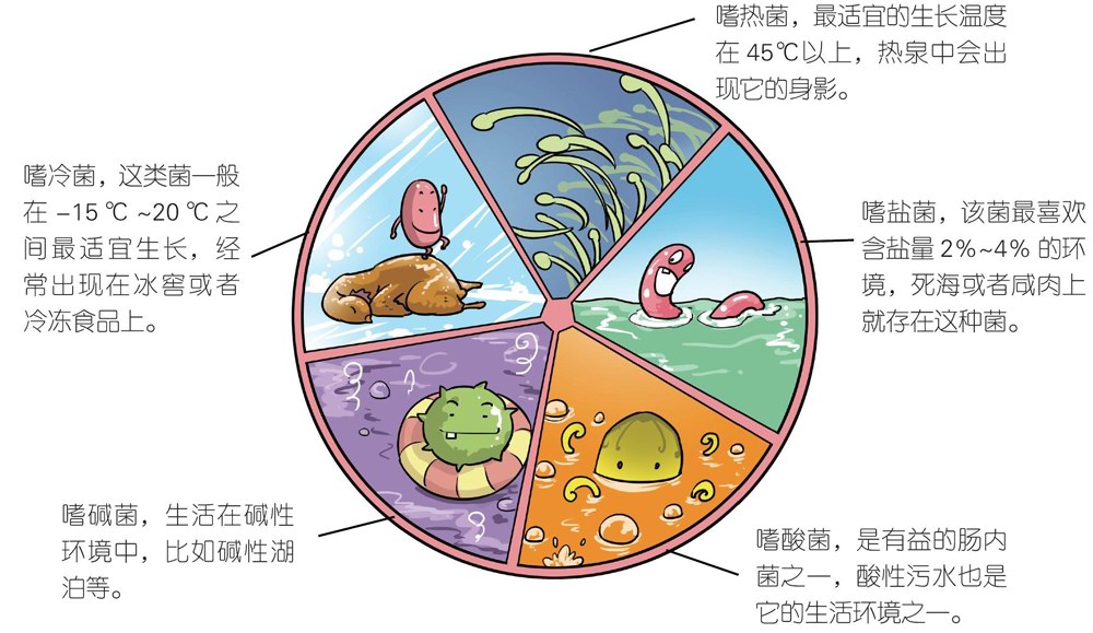住在“生命禁区”的微生物