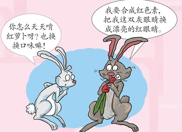 兔子的眼睛都是红色的吗?