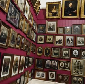 纯净绿玉米——新西兰