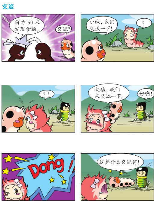 蚕宝宝流浪记