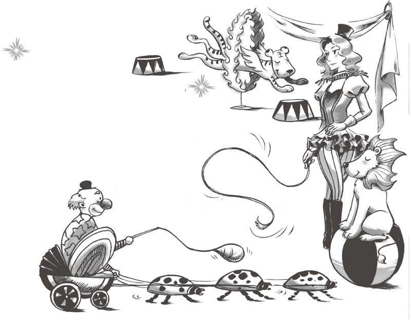 深夜马戏团(一)