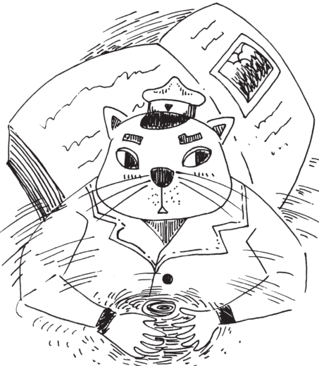 黑猫探长的秘密