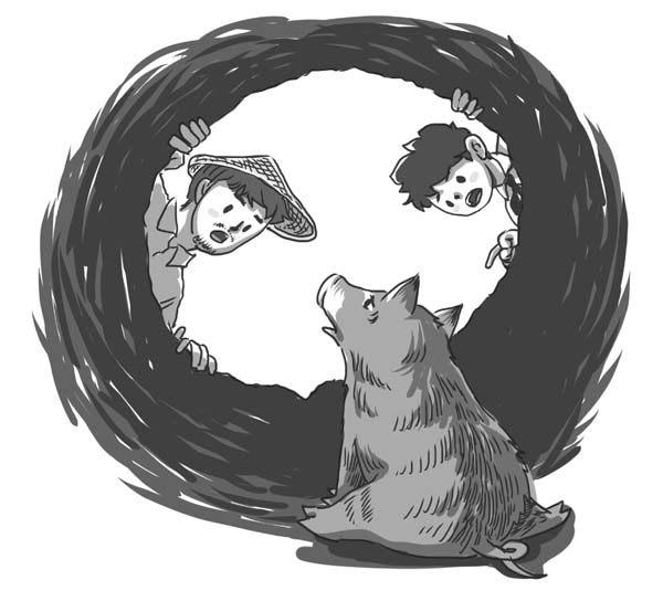 山娃和野猪的故事