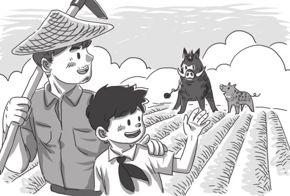 山娃和野猪的故事