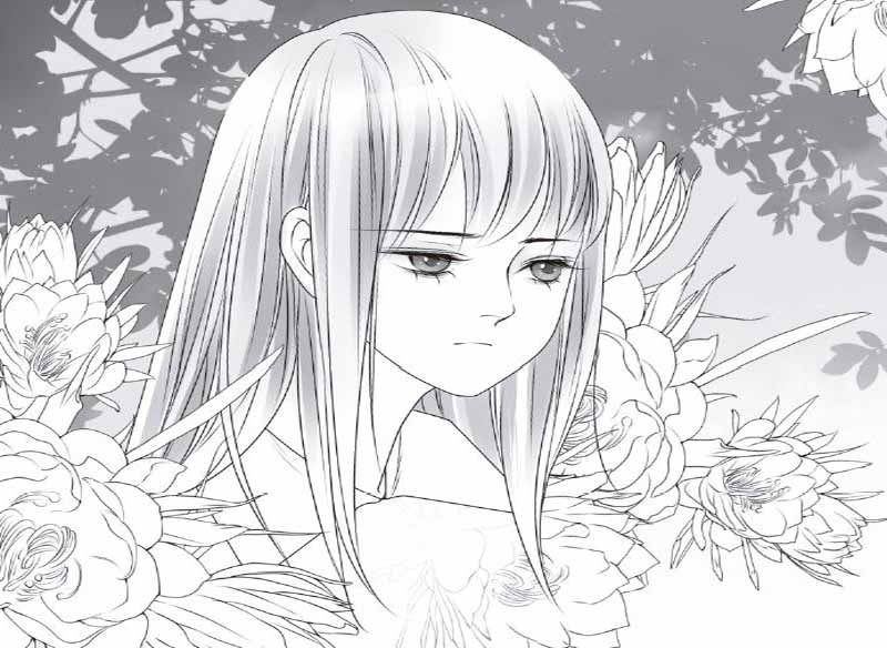 我在这城静待花开