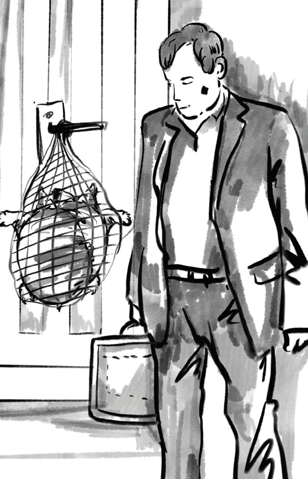 救命的“王八”