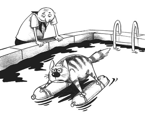 两种选择