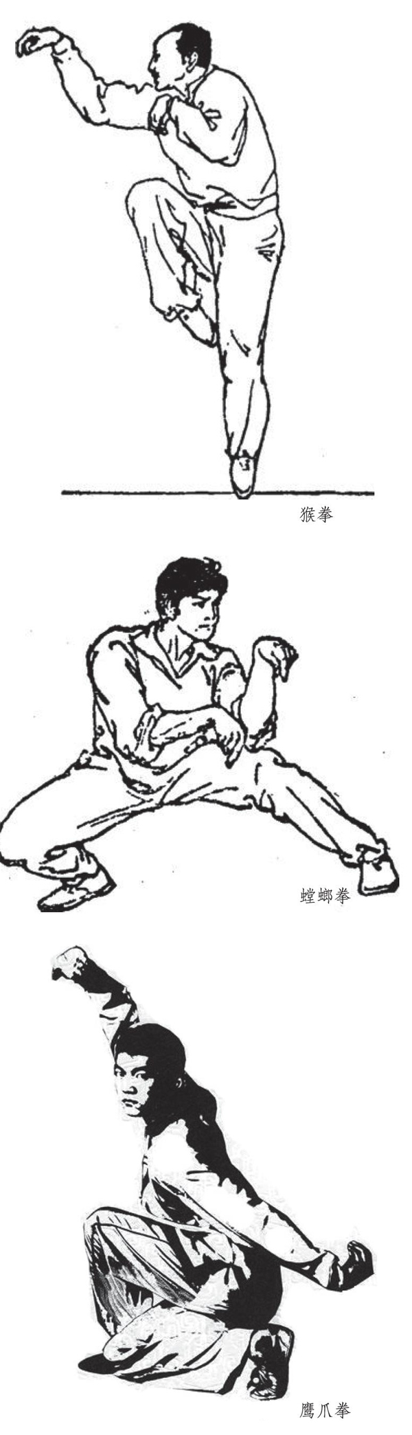 道法自然的中华武术