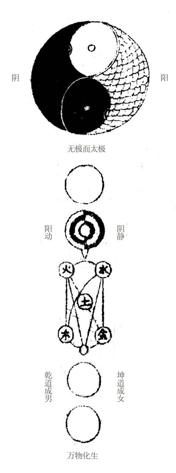 道法自然的中华武术