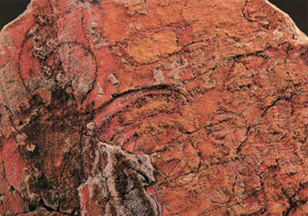 针似游龙绣乾坤