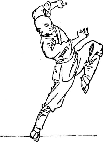 华夏有术亦有道