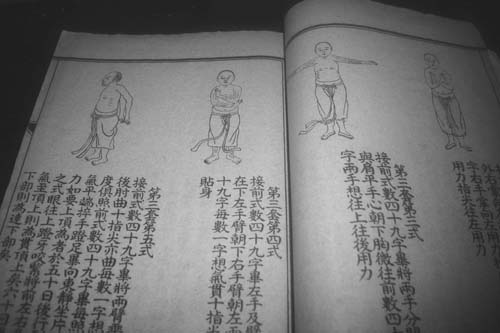 相逢术已老