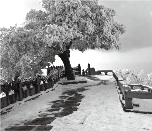 心中所言皆成歌