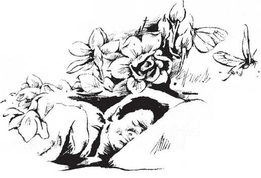 栀子花开