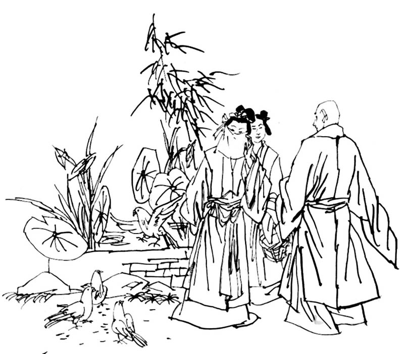 鸽匪