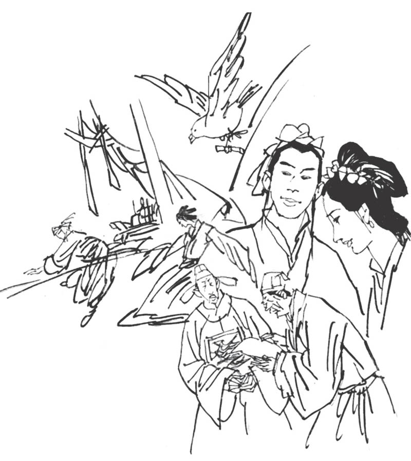 鸽匪