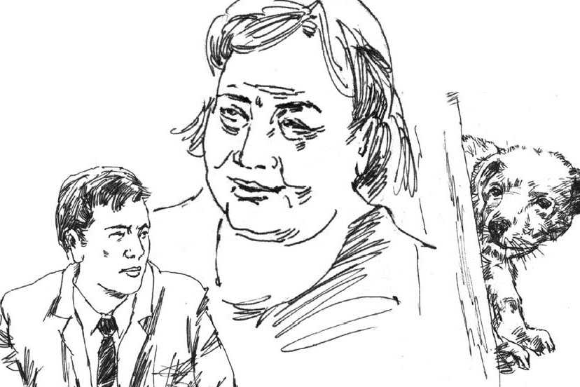 毛脚女婿是律师