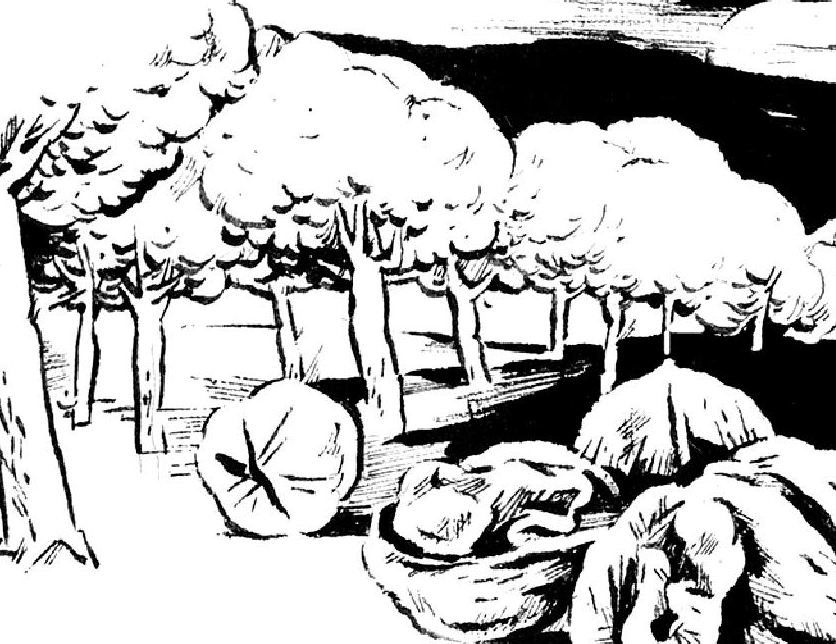 为了让你站直腰