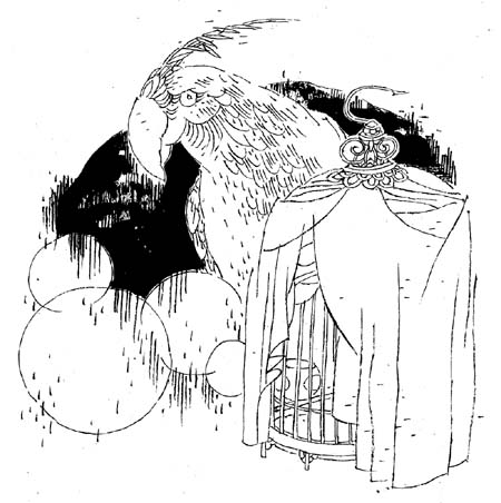 夺命鹦鹉