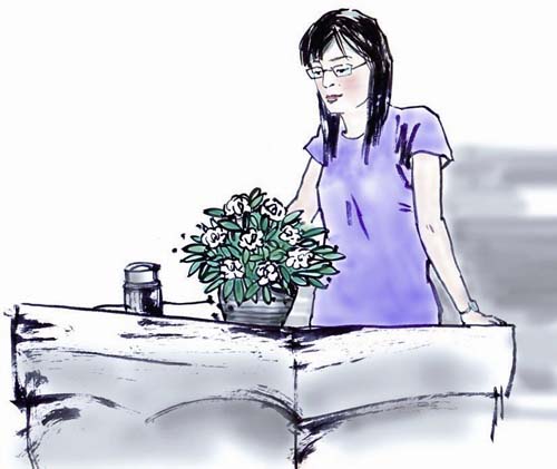 一盆栀子花