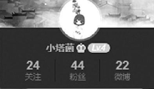 编编风格速报指南