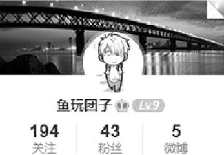 编编风格速报指南