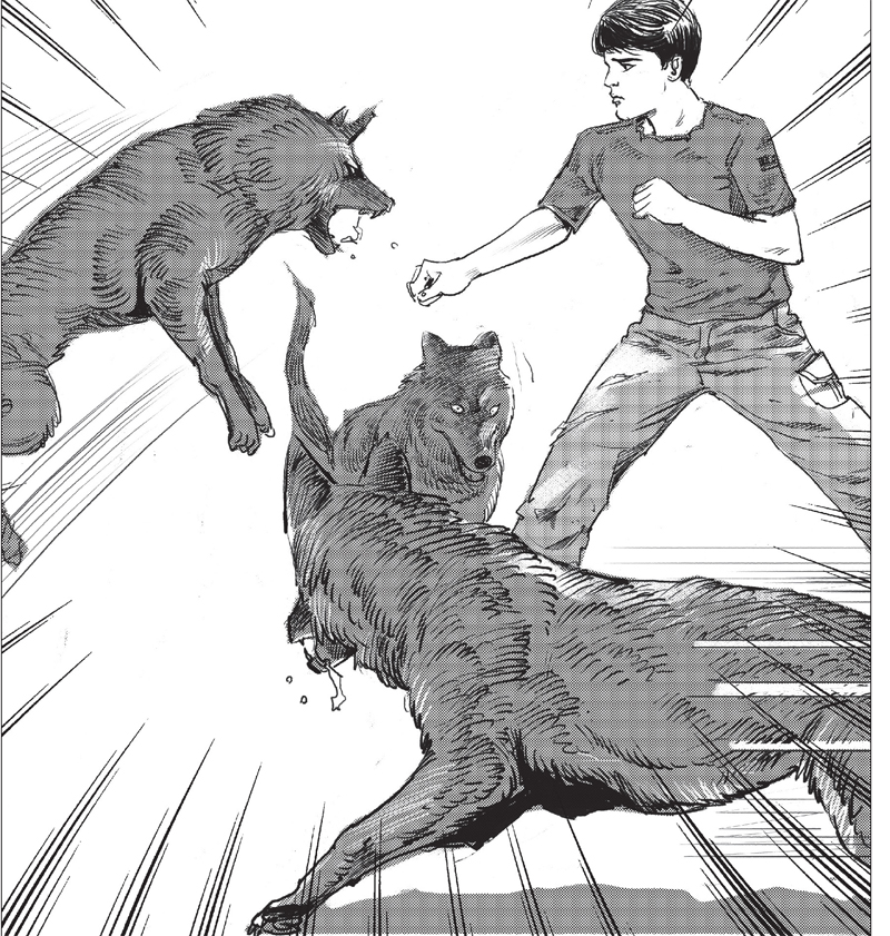 神血会的继承者