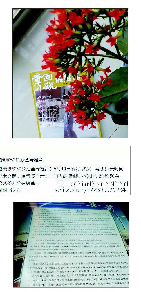 气温攀升,热情高HIGH!