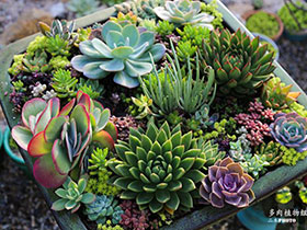 山河终结篇(卷十四)