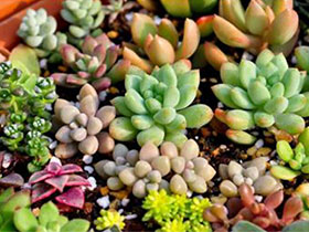 山河终结篇(卷十四)