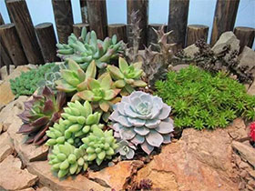 亲,欲抱大腿,请先修炼演技