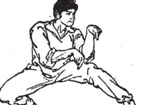 道法自然的中华武术